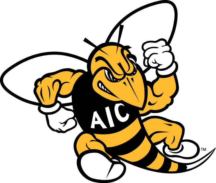 AIC Yellow Jackets 2009-Pres Primary Logo vinyl decal